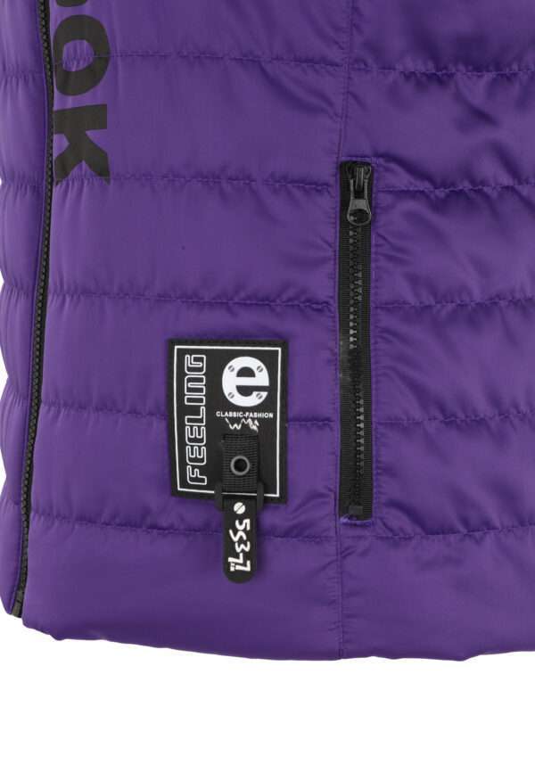 DS VEST